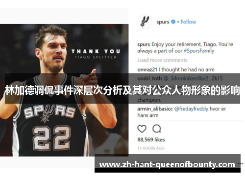 林加德调侃事件深层次分析及其对公众人物形象的影响